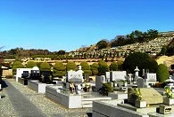 伊東正義の墓の全景
