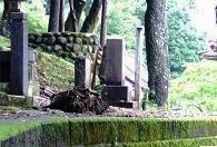 柿沢勇記の墓(観音寺)