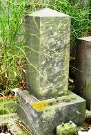 荘田胆斎の墓