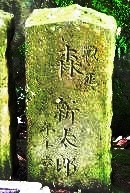 森新太郎の墓
