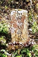 和田伝蔵の墓