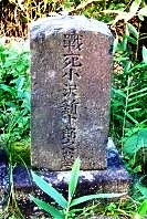 小沢新十郎之墓